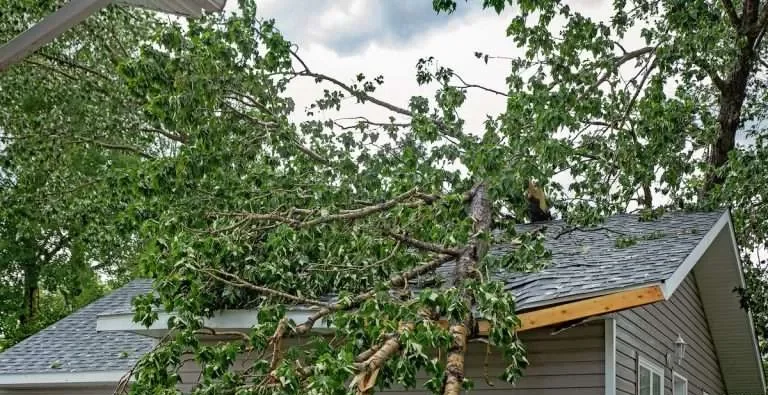 STORM DAMAGE TO ROOF WHAT DO I DO NEXT?